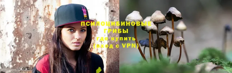 Галлюциногенные грибы Psilocybe  shop официальный сайт  Голицыно  где можно купить наркотик 